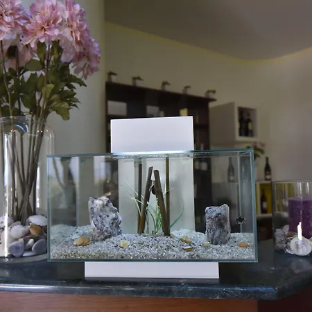 호텔 La 코릴리아노칼라브로