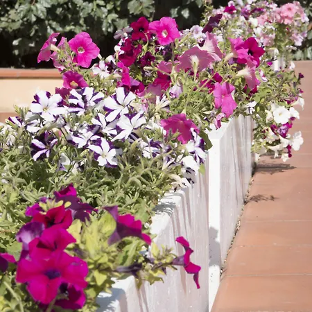 La 4* Corigliano Calabro