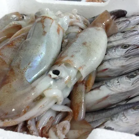 酒店 拉维拉酒店